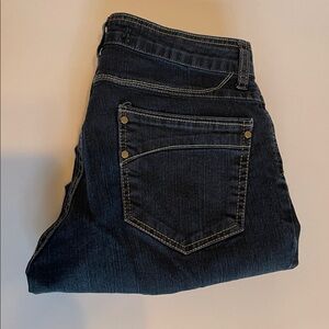 Beija Flor Jennifer Dark Blue Denim Jeans size 6